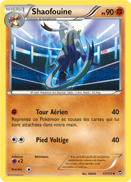 Fichier:Carte XY Poings Furieux 57.png
