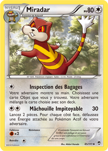 Fichier:Carte XY Poings Furieux 85.png