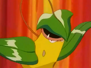 EP231 - Empiflor de James.png