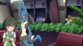 Lucario (d'Honoré)