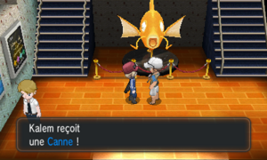 Roche-sur-Gliffe Canne XY.png