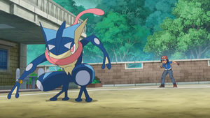 XY116 - Amphinobi de Sacha.png