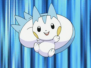 DP113 - Pachirisu d'Aurore.png