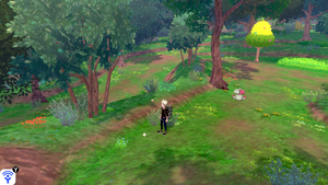 Forêt Flexion Objet Caché 8 EB.png