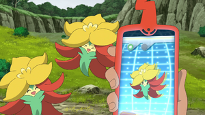 LV100 - Tournicoton Pokédex.png