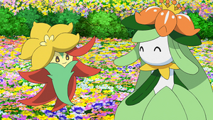 LV107 - Tournicoton et Fragilady de Goh.png