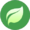 Plante