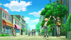 XY006 - Psykokwak d'un Dresseur.png