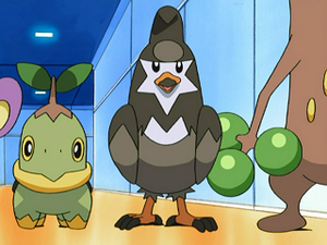 DP033 - Étourvol de Sacha.png