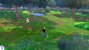 Forêt Flexion Objet Caché 4 EB.png