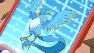 LV102 - Artikodin Pokédex.png