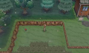 Route 113 Hyper Potion ROSA.png