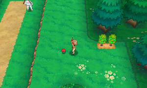 Route 115 Super Ball ROSA.png