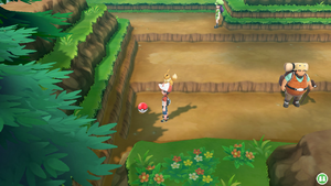 Route 9 Super Potion LGPE.png