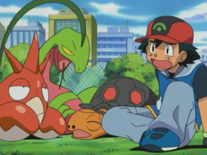 AG068 - Chartor de Sacha.png