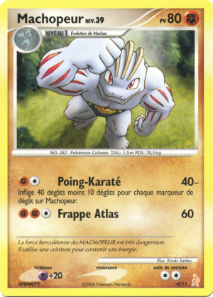 Carte Diamant & Perle Kit Dresseur Lucario 4.png