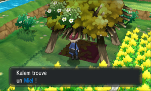 Village Pokémon Miel XY (2).png