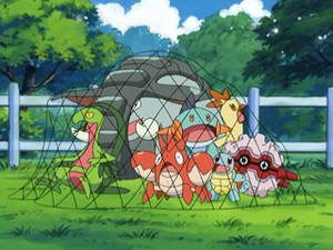 AG159 - Carapuce de Flora et Foretress de Pierre.png