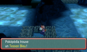 Chenal 129 Tesson Bleu ROSA.png