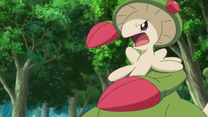 XY104 - Chapignon.png