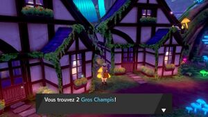 Corrifey Gros Champi EB.jpg