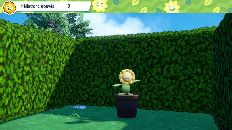 Fichier:Héliatronc Cuencia 15 EV.png