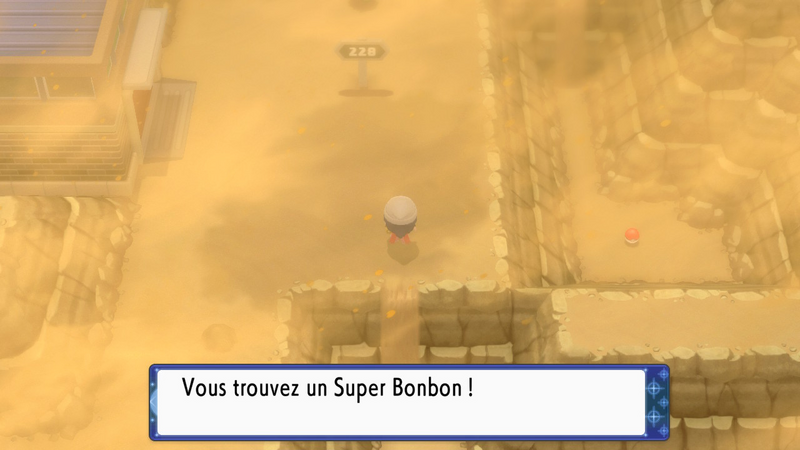 Fichier:Route 228 Super Bonbon DEPS.png