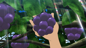 SL029 - Baie Remu.png