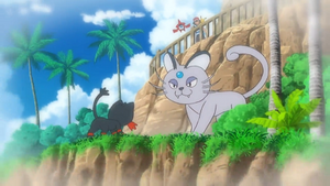 SL083 - Persian d'Alola d'une riche femme (Flash-back).png