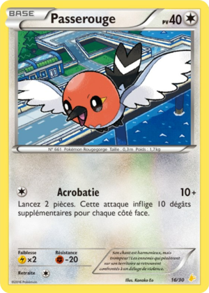 Carte XY Kit du Dresseur Pikachu Catcheur 16.png