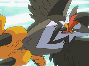 DP132 - Étouraptor de Sacha.png