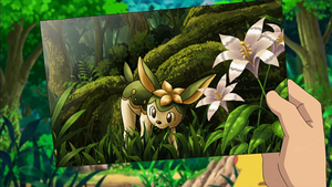 NB054 -Vivaldaim.png