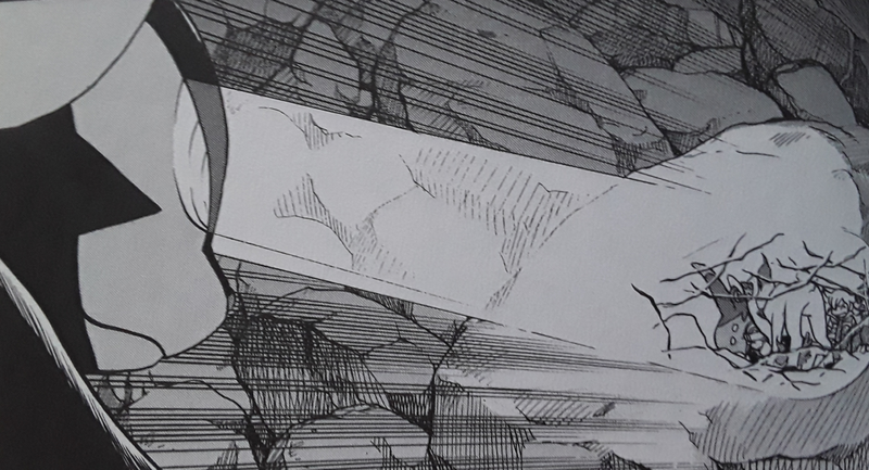 Fichier:Ray (Chapitre 349)-PMS.png