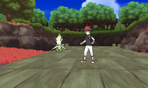 Studio Photo USUL - Arrière-plan 36.png