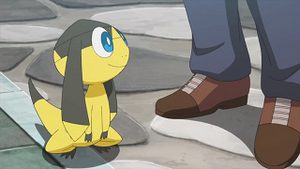 XY031 - Galvaran d'un Dresseur.png