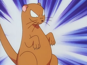 EP020 - Mangouste.png