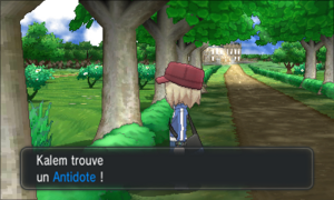 Route 6 Antidote Cachée XY.png