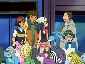 DP010 - Draby, Rattata et Têtarte d'un Dresseur.png