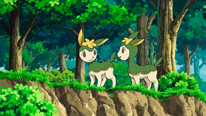 NB112 - Vivaldaim.png