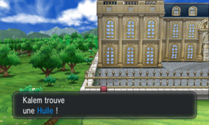 Palais Chaydeuvre Huile XY.png