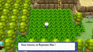 Route 225 Repousse Max DEPS.png