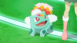 XY060 - Bulbizarre de Sannah.png