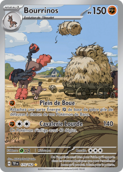 Bourrinos (Écarlate et Violet Forces Temporelles 175)