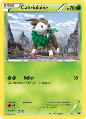 Carte Promo XY XY11.png