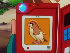 EP081 - Roucarnage Pokédex.png