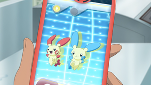 LV061 - Posipi et Négapi Pokédex.png