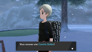 Pente Enneigée Carotte Gelée EB.png