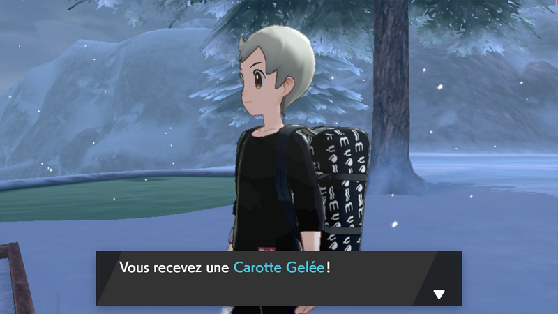 Fichier:Pente Enneigée Carotte Gelée EB.png