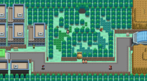 Route 16 N2B2.png