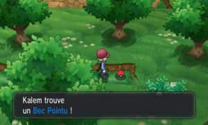 Route 5 Bec Pointu XY.png